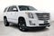 2020 Cadillac Escalade Platinum Edition